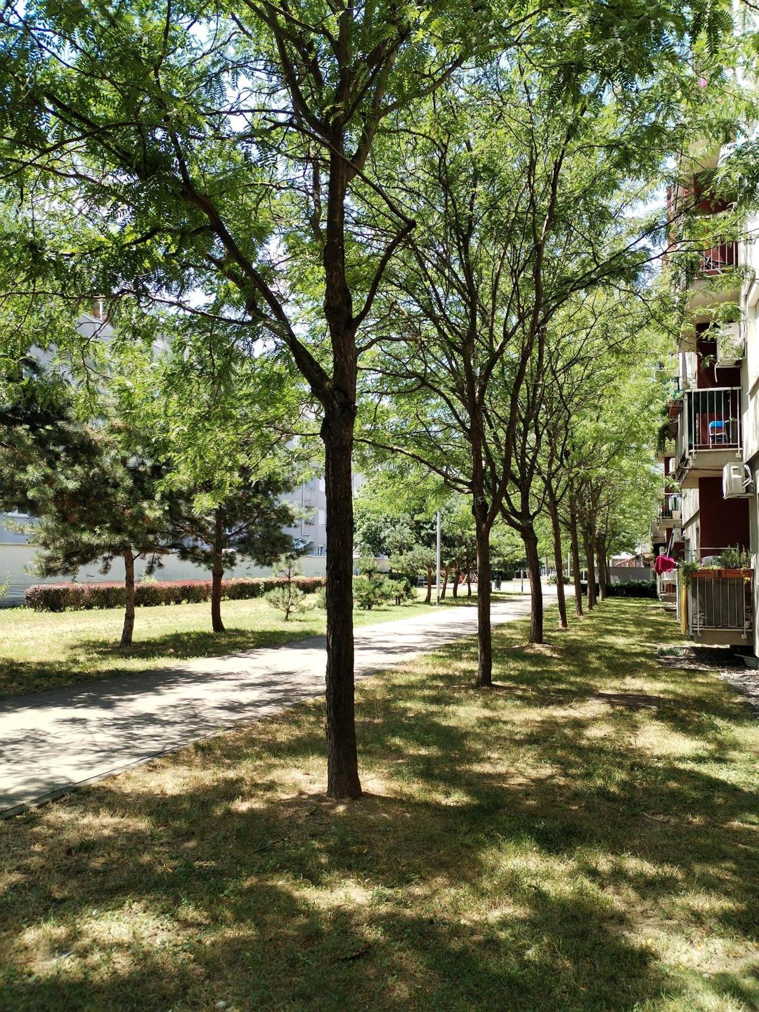 Apartman Ivana Ζάγκρεμπ Εξωτερικό φωτογραφία