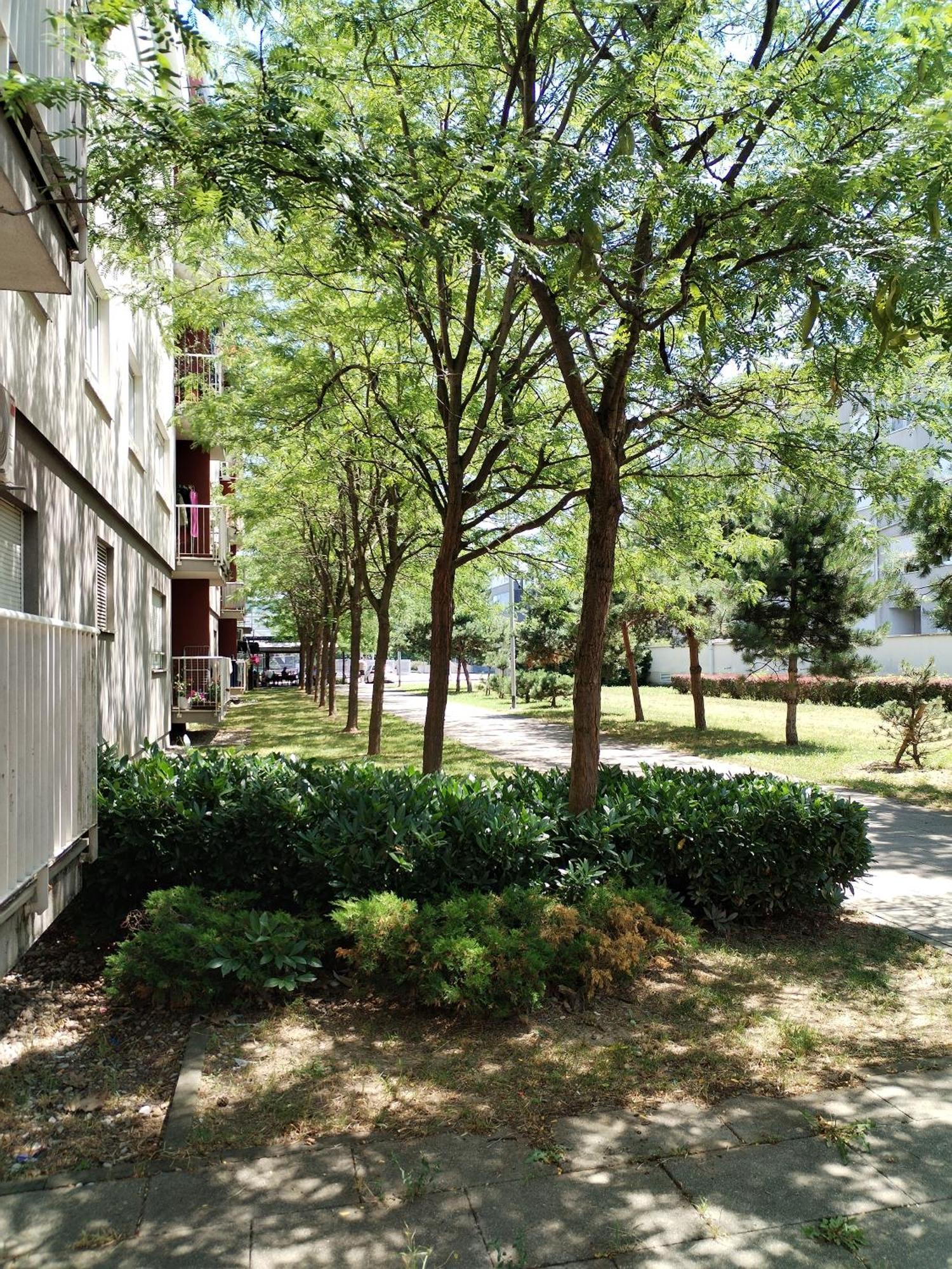 Apartman Ivana Ζάγκρεμπ Εξωτερικό φωτογραφία